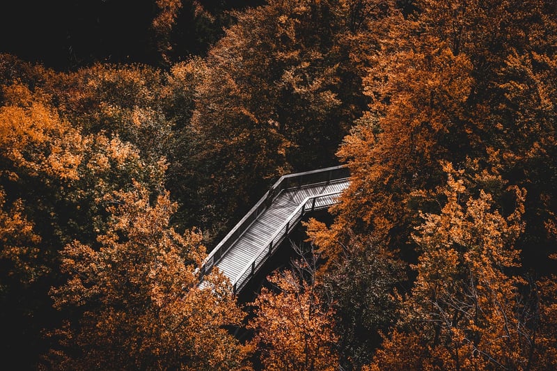 Mindful hikes