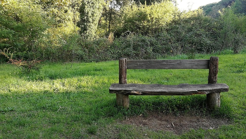 Mindful pauses