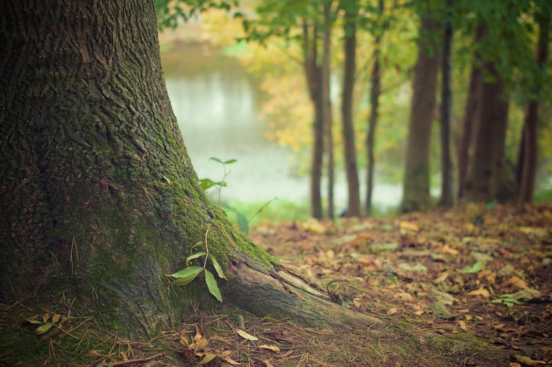 Grounding Techniques
